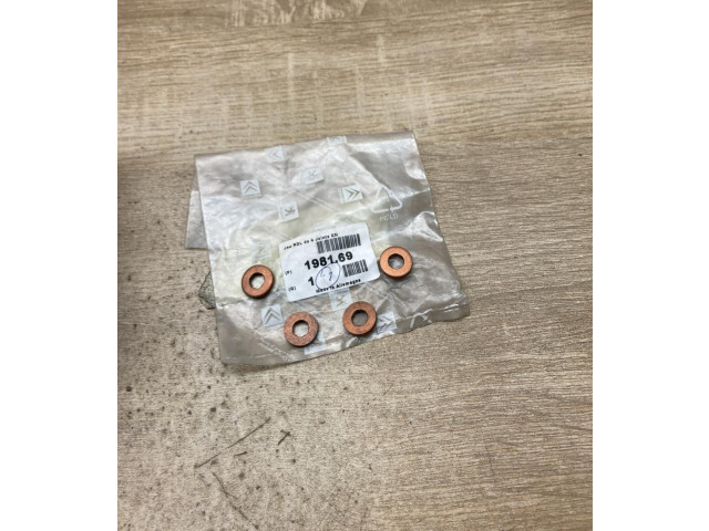 Форсунка 198169, 4Pcs    Citroen C1   