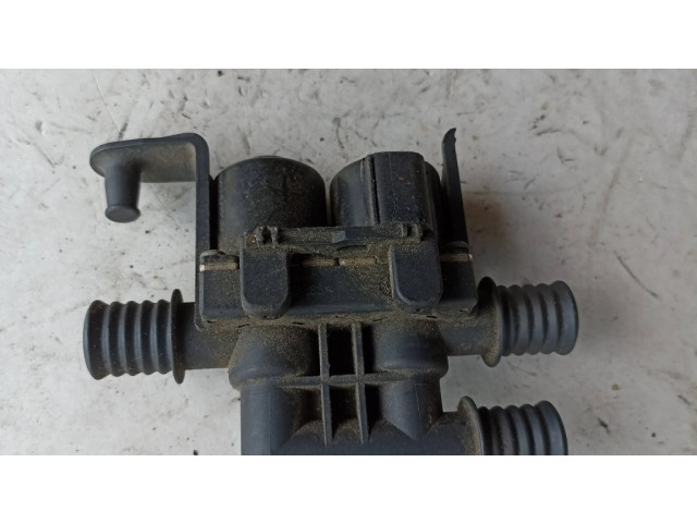 Клапан (клапаны) нагревательного радиатора (яйца)