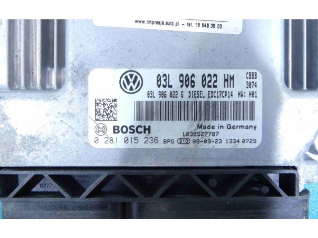 Řídící jednotka 0281015236, IMPRK932351 Volkswagen Tiguan 2009