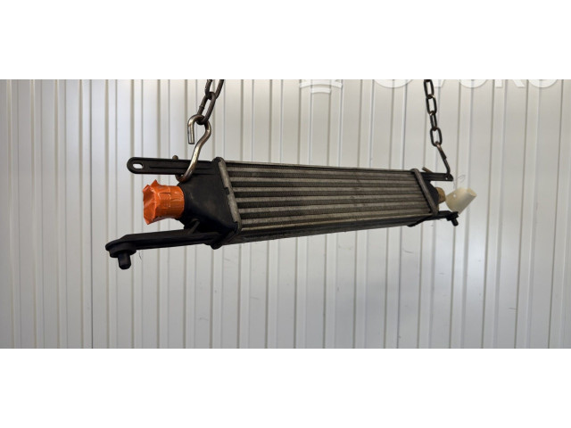 Интеркулер  55702237   Fiat Grande Punto 