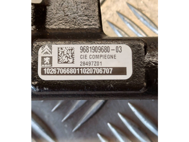 Топливная рампа 9681909680, 9663305480 Ford S-MAX для двигателя D4204T