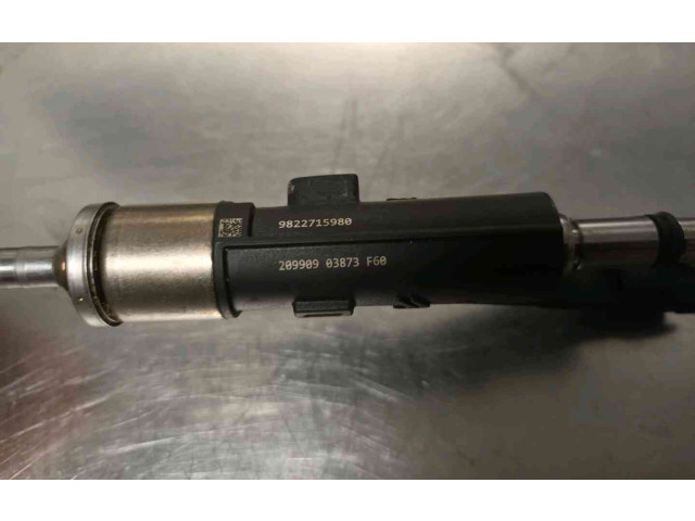 Форсунка 9822715980    Citroen C3 Aircross   