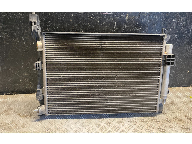 Жиклер (жиклеры) (форсунка (форсунки) BV618C342BC, 8V618C607EB   Ford Focus   