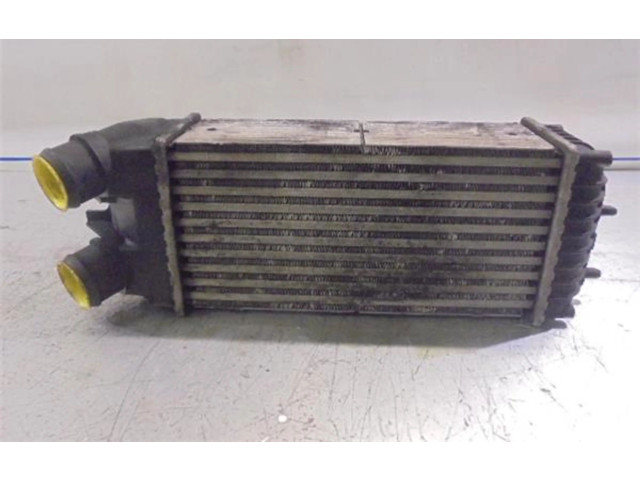 Интеркулер 9645965180A, 874964GJ Citroen Xsara Picasso