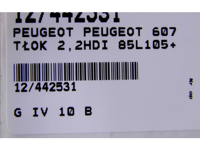 Píst Peugeot 607