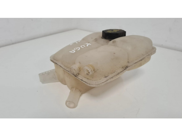 Расширительный бачок охлаждающей жидкости    