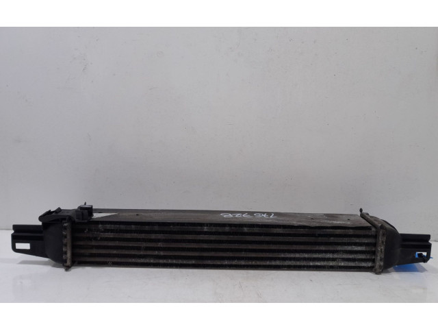 Интеркулер  176728   Citroen Nemo 