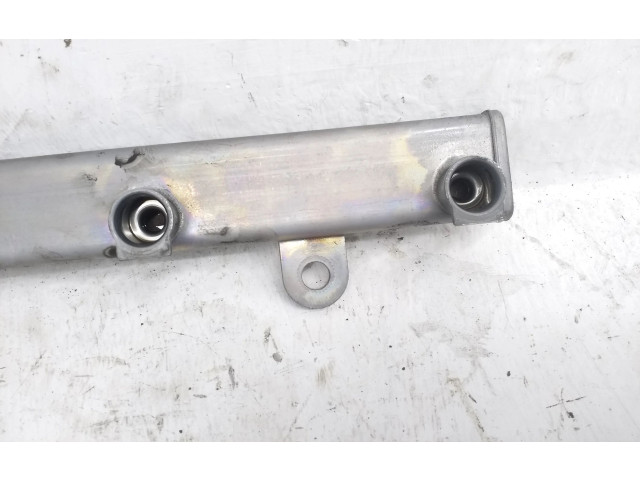 Топливная рампа Mitsubishi Outlander