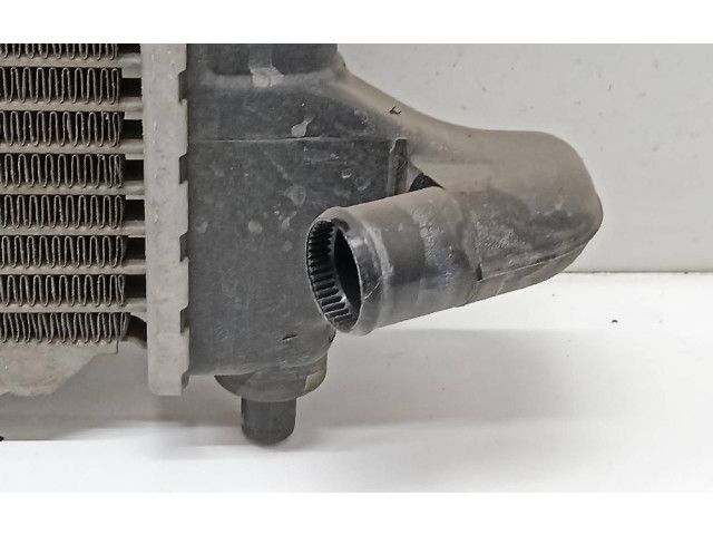 Радиатор охлаждающей жидкости 96591475 Chevrolet Matiz