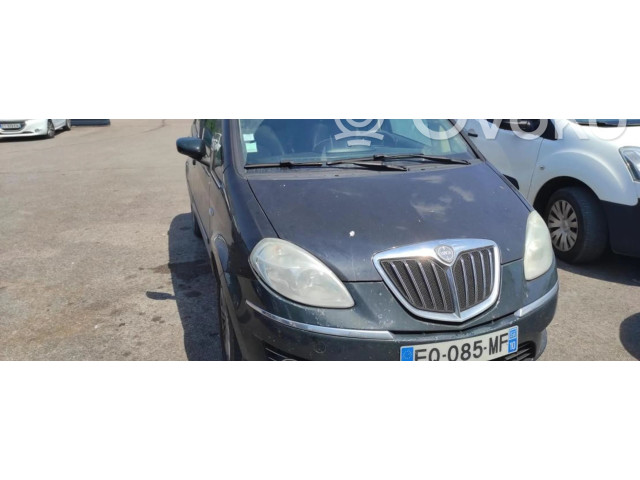 Zpětné zrcátko Lancia Musa 2008 735360564, 735360564