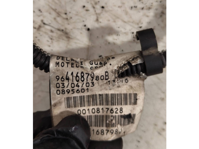 Vstřikovací čerpadlo 9641687980, 0895601 Citroen Berlingo