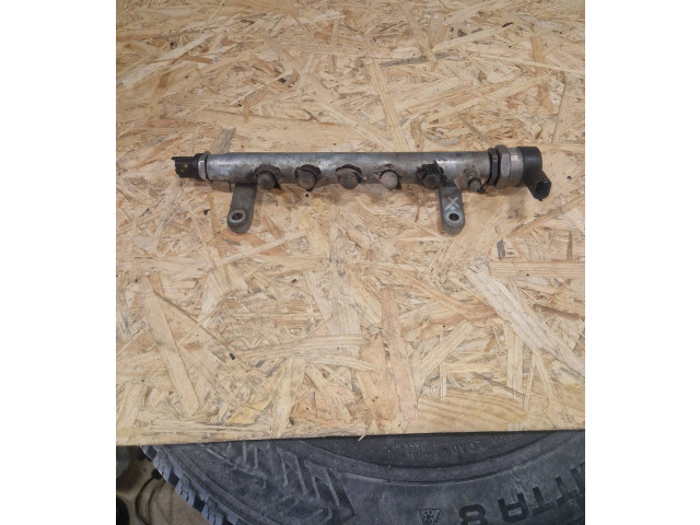 Топливная рампа 9656917280, DW12BTED4 Mitsubishi Outlander для двигателя 4HN