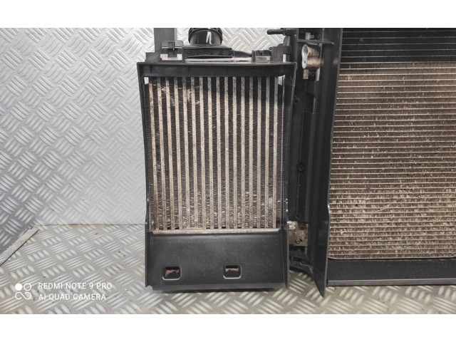 Интеркулер 144967634R, 14461B681D Dacia Sandero