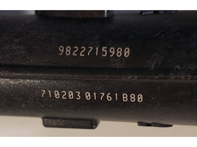 Форсунка 9822715980    Citroen C3 Aircross  HN05 