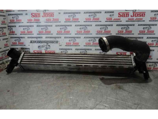 Интеркулер Skoda Rapid (NH)