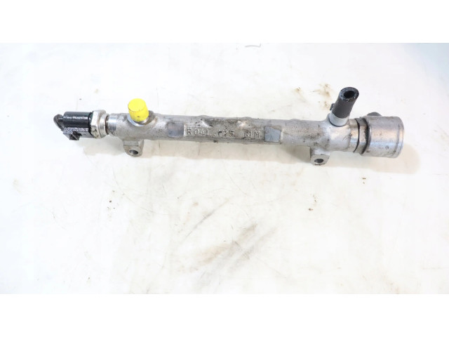 Топливная рампа    Skoda Kodiaq  