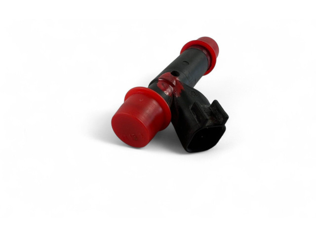Injektor Einspritzdüse 53013690AA Jeep Wrangler