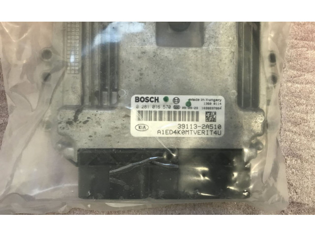 Блок управления двигателя 0281016570, 391132A510 KIA Ceed