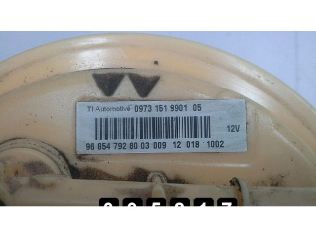 Vstřikovací čerpadlo 968547928003009 Citroen C3