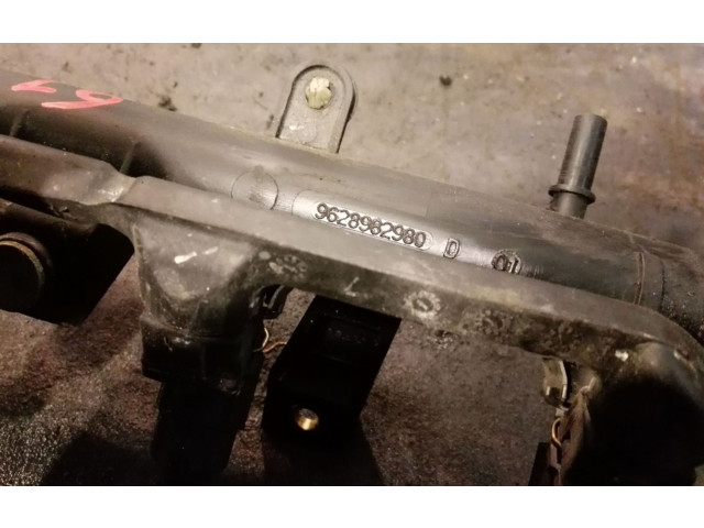 Топливная рампа 198542 Citroen Berlingo