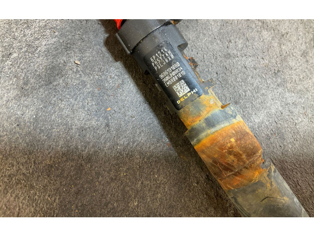 Форсунка 9686191080    Peugeot Expert   