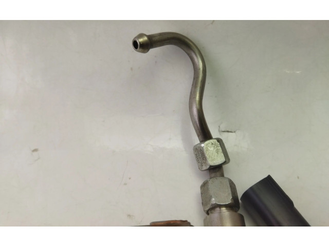 Топливная рампа J1BG9H487AA   Ford Ecosport   для двигателя M1JU