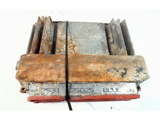 Řídící jednotka 12200411   Chevrolet Corvette C5 2001