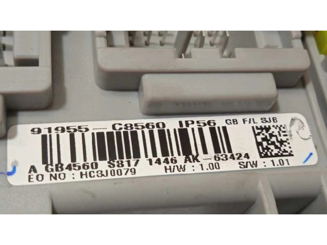 Pojistková skříňka Řídící jednotka BSM 91955C8560 Hyundai i20 (GB IB) 2019