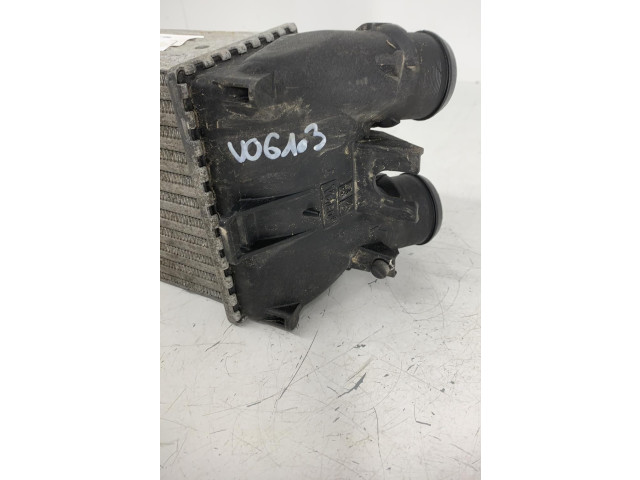 Интеркулер Citroen Berlingo