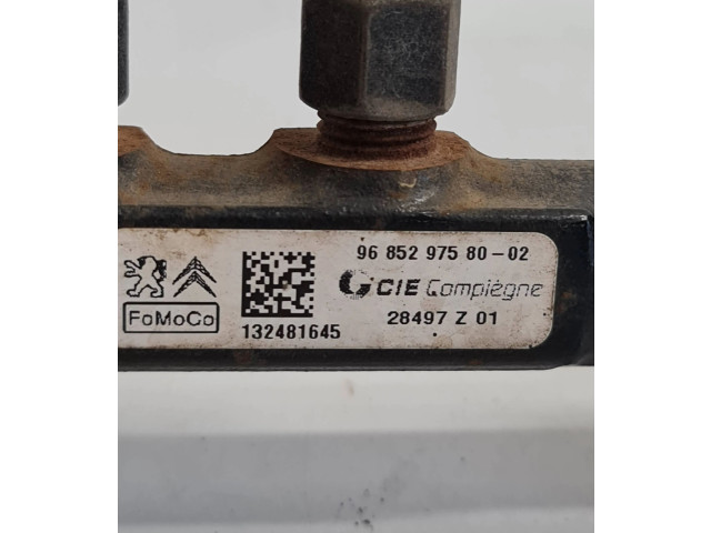 Vstřikovací lišta 9685297580, 132481645 Volvo V40 Cross country