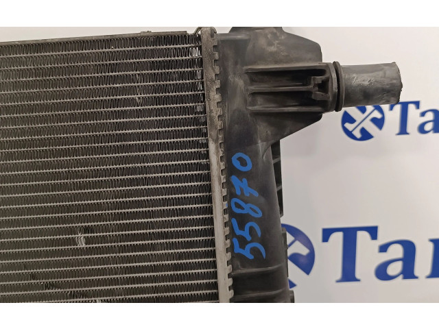 Панель приборов 214100002R, RA1562   Renault Megane III       