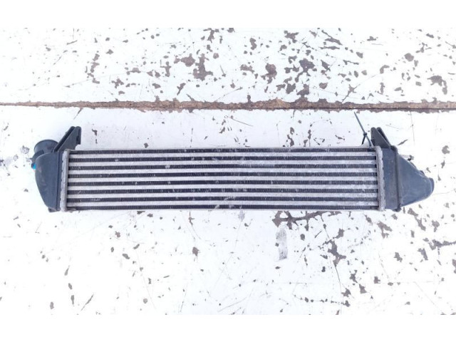 Интеркулер 8200409045A Dacia Logan I