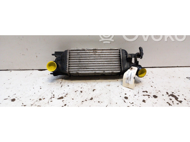 Интеркулер  00000384G9   Citroen C5 