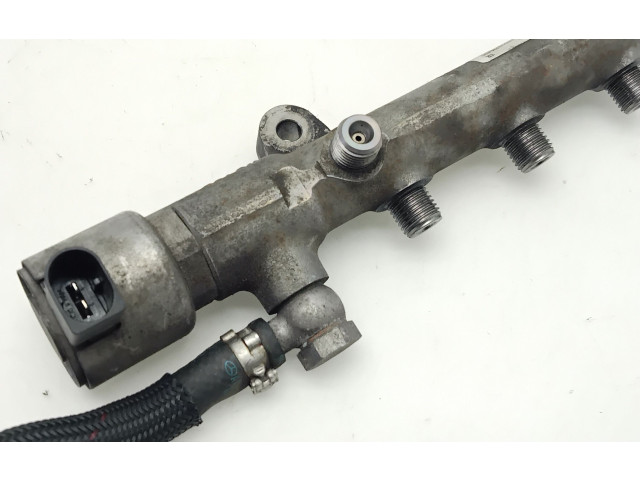 Vstřikovací lišta A6510700495, R9144Z240A Mercedes-Benz E W212