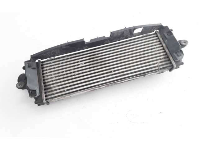 Интеркулер  8200411160   Renault Trafic II (X83) 