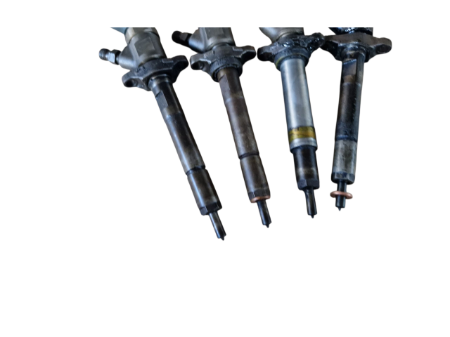 Комплект форсунок 0445110239, 606680 Citroen Berlingo