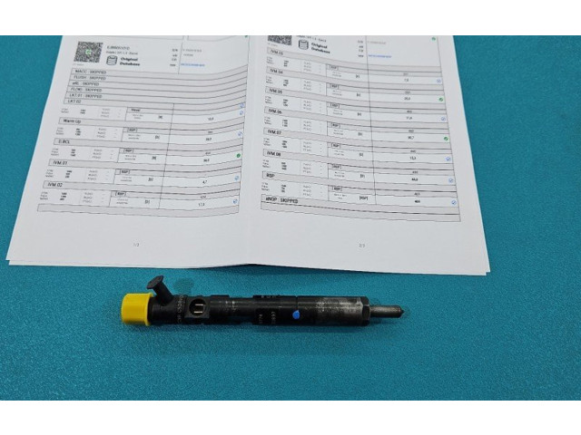 Форсунка EJBR05101D, IMPRK1439396 Dacia Logan I