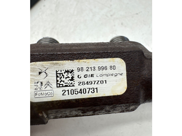 Топливная рампа 9821399680, 210540731   Peugeot Partner III  