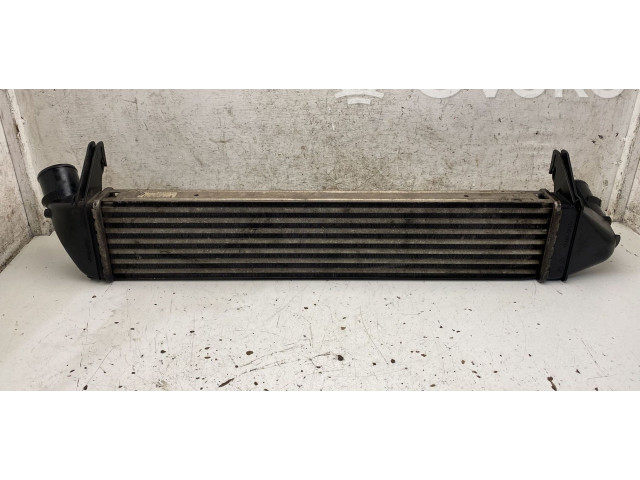 Интеркулер     Dacia Sandero 