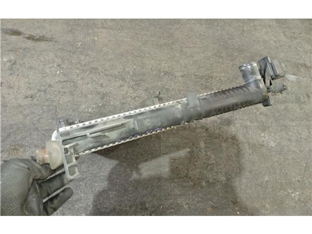 Комплект радиатора    Renault  Clio III  2005 - 2012 года