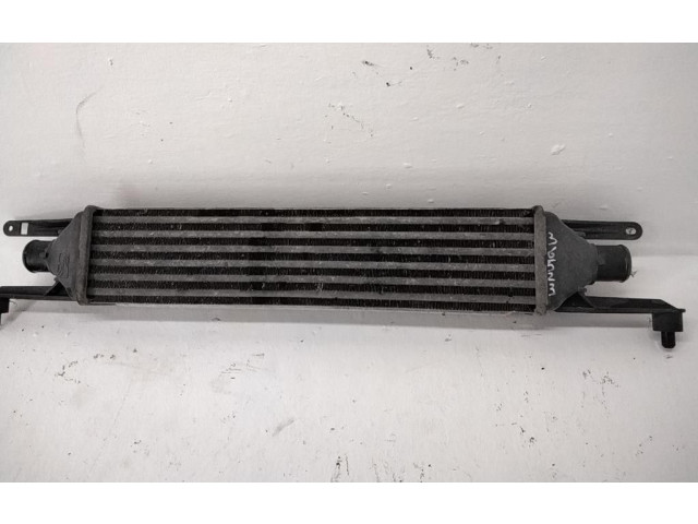 Интеркулер 55700449, 199A3000 Fiat Grande Punto