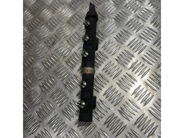 Vstřikovací lišta 9685297580, 9670076780 Citroen Berlingo pro naftový motor 1.6