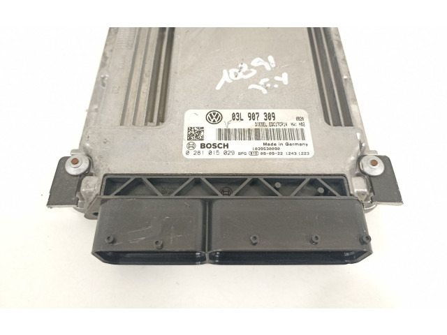 Řídící jednotka 03L907309, 0281015029 Volkswagen Passat Alltrack 2009