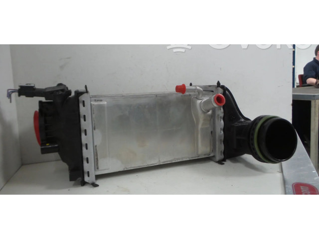 Радиатор интеркулера 05C145785C, 04E906051J Audi Q2 - DLAA DLA