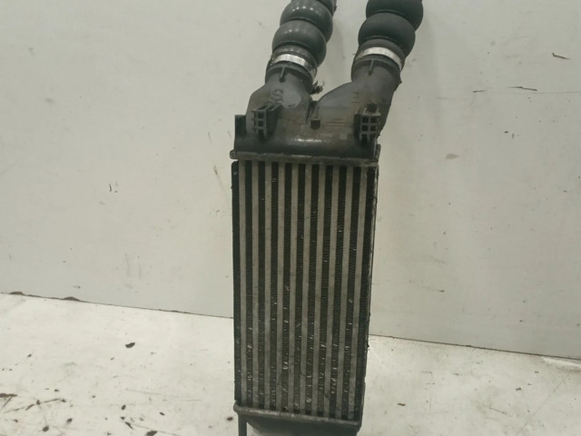 Интеркулер     Citroen Berlingo 