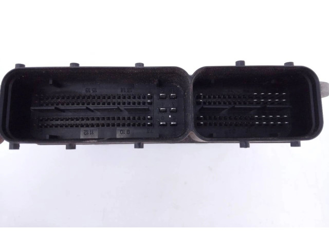 Řídící jednotka 96950947, 0281015569 Chevrolet Captiva 2009