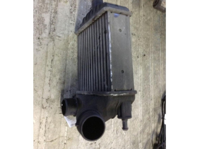 Интеркулер Fiat Idea 2.9