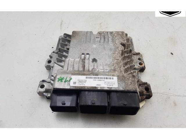 Блок управления двигателя DV6112A650CJC, 1824683 Ford Transit - Tourneo Connect
