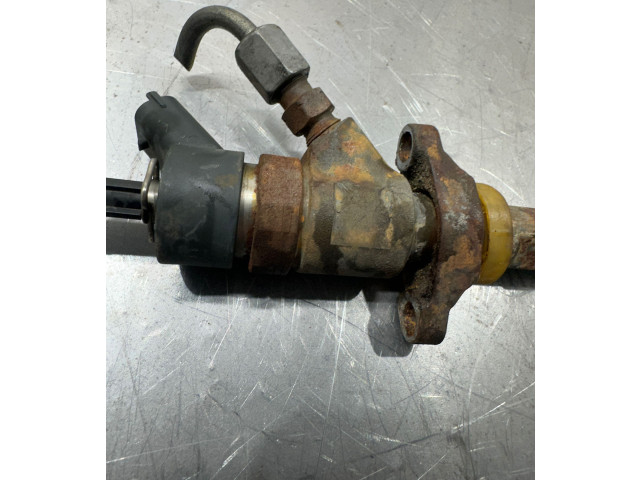 Форсунка 0445110239 Citroen Berlingo