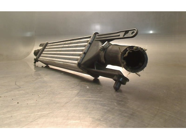 Интеркулер     Fiat Punto (199) 